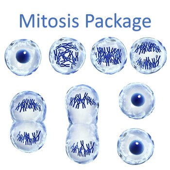 Preview of Mitosis