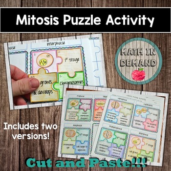 Preview of Mitosis Activity