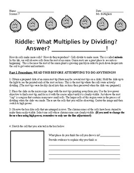 Mitosis Activity Lab (What Multiplies by Dividing?) | TpT