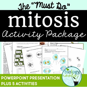 Preview of Mitosis Activity Package