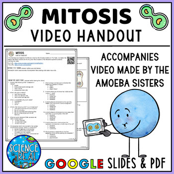 Preview of Mitosis Amoeba Sisters Video Handout