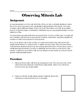 Preview of Mitosis Analysis Lab