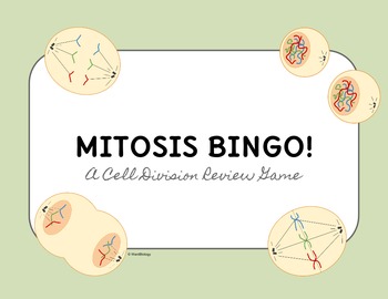 Preview of Mitosis BINGO Review Game