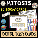 Mitosis Boom Cards
