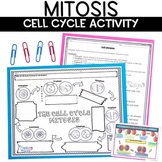 Mitosis Cell Cycle Activity