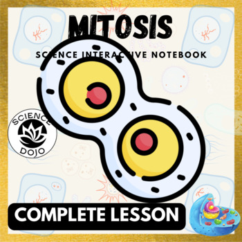 Preview of Mitosis Cell Cycle Notes, Activities and Slides Biology Lesson