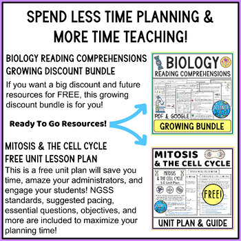 Mitosis Reading Comprehension, Qs, & Interactive Notebook Activity