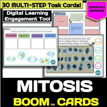Preview of Mitosis Cell Cycle Review Task Cards - Boom Cards