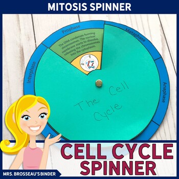 Preview of Mitosis & Cell Cycle - Spinner, Puzzle and Note