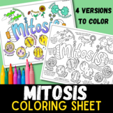 Mitosis Cell Division Coloring Sheet Doodle Notes