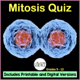 Mitosis Cell Division Quiz