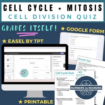 Preview of Mitosis Quiz or Mitosis Test Review of the 5 Mitosis Phases - Self Grading