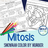 Mitosis Color by Number---Snowman/Winter/Christmas Theme