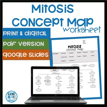 meiosis concept map