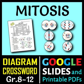Preview of Mitosis Crossword with Diagram | Editable, Printable & Distance Learning Options