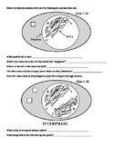 Mitosis Diagram Worksheet -- Guided Inquiry-Based