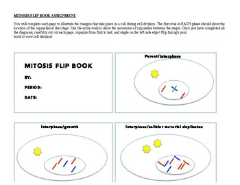 mitosis flip book printable