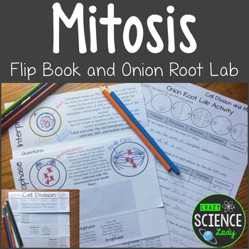 Preview of Mitosis: Flip Book and Onion Root Lab