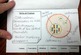 mitosis flip book answers