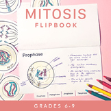 Mitosis Flipbook