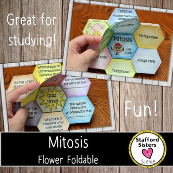 the cell cycle mitosis flip book jenny stafford