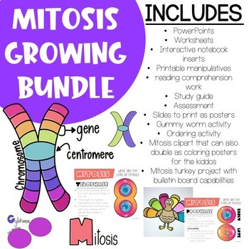 Preview of Mitosis Growing Bundle