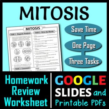 Preview of Mitosis Homework Review Worksheet / Test Prep | Print & Google Slides Options