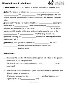 Mitosis Inquiry Labs by Kesler Science | TPT