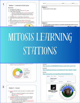 Preview of Mitosis Learning Stations and Webquest
