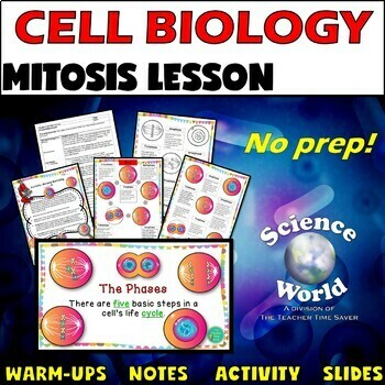 Preview of Mitosis and the Cell Cycle Biology Life Science Middle School Notes & Activity