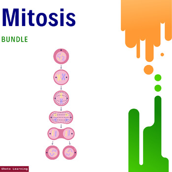 Preview of Mitosis Mastery Bundle