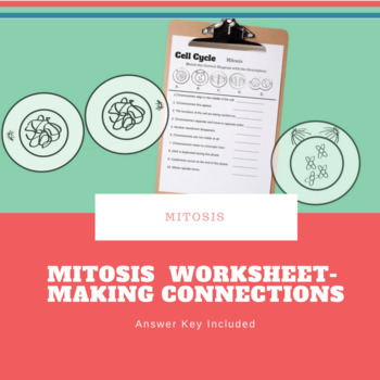 Preview of Mitosis Worksheet.  Matching with Images.  Digital & Print.  Distance Learning.