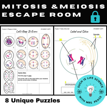 Mitosis Escape Room Teaching Resources | Teachers Pay Teachers
