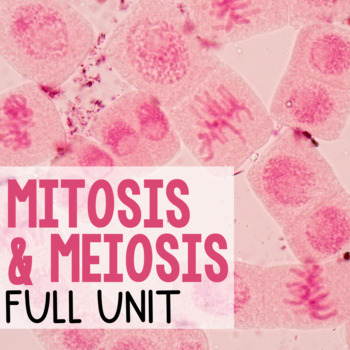 Preview of Mitosis & Meiosis - FULL UNIT