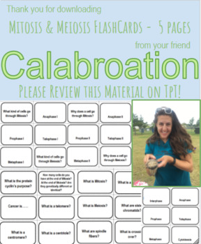 Preview of Mitosis & Meiosis Flash Cards - 5 pages