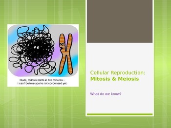 Section 11-4 Meiosis Answer Sheet / Biology 11 Page 8 The Blog Site Of Joanne Martin - Other ...