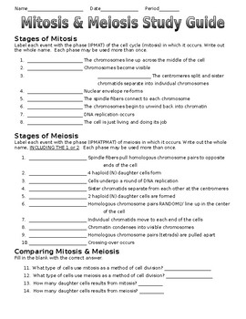 Preview of Mitosis & Meiosis Study Guide- Editable