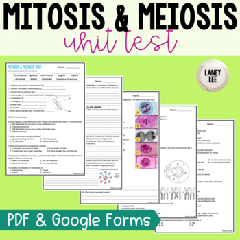 Preview of Mitosis & Meiosis Unit Test