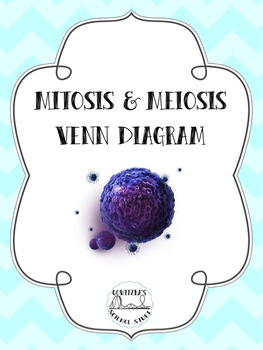 Preview of Mitosis & Meiosis Venn Diagram