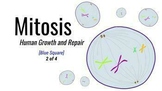 Mitosis - Middle School Science 2of4