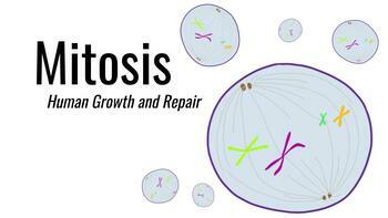 Preview of Mitosis - Middle School Science - FULL UNIT
