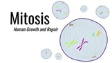 Mitosis - Middle School Science - FULL UNIT