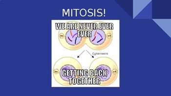 Preview of Mitosis Notes