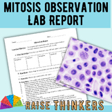 Mitosis Observation Lab Report: Cell Division Differentiat