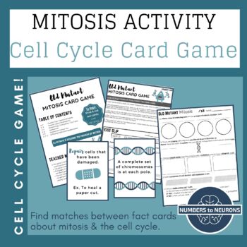 Preview of CELL CYCLE & MITOSIS GAME ACTIVITY with mitosis phase diagrams