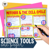 Mitosis One Pager