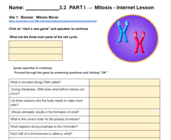 Preview of Mitosis Online Webquest Interactive worksheet