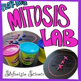 Mitosis Playdoh Lab Activity (model with play dough)