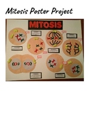 Mitosis Poster Project