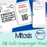 Mitosis QR Code Scavenger Hunt Activity